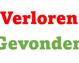 Verloren-Gevonden