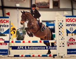 Cato v Berkel - Brabants kampioen springen