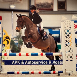 Cato v Berkel - Brabants kampioen springen