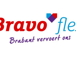 BravoFlex logo