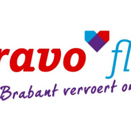 BravoFlex logo